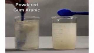 Powdered vs. Pre-Hydrated Gum Arabic