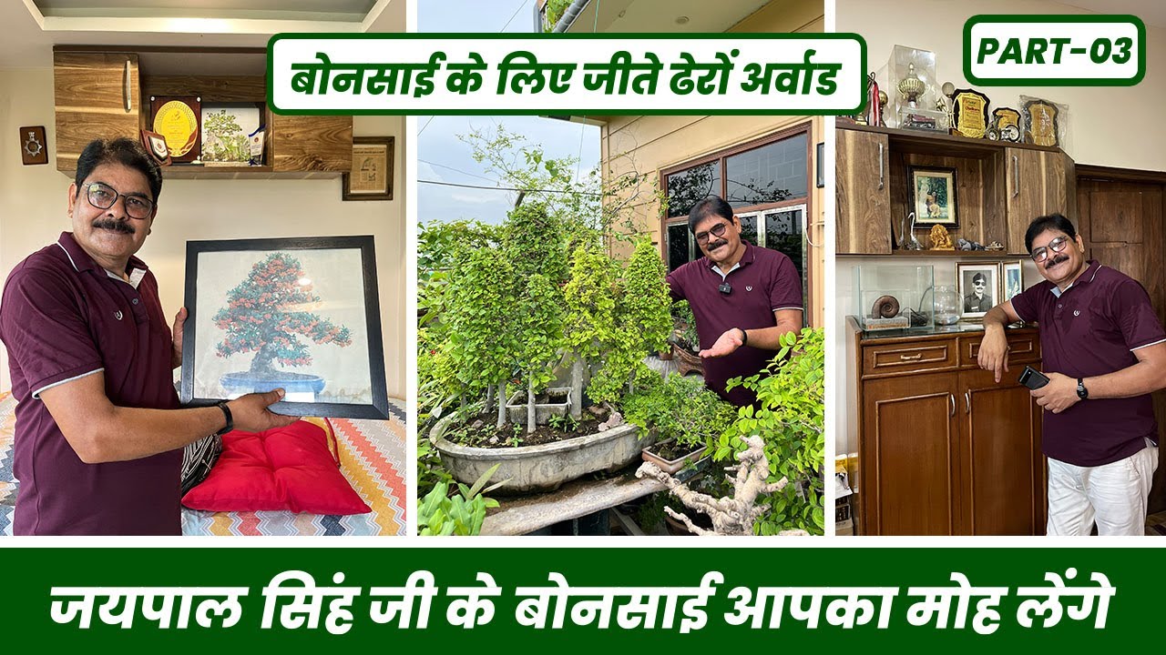 बोन्साई के लिए जीते ढेरों अवार्ड 🏆 जयपाल सिंह जी के आपके बोन्साई आपका मोह लेंगे 🥰 Garden Tour Part-3