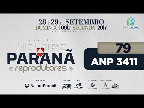 LOTE   79 ANP 3411