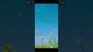 thankyougod praiserevworship