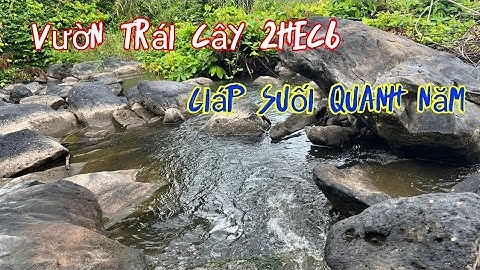 Đất vườn nghỉ dưỡng đủ loại trái cây có ao cá giáp suối nước quanh năm 26000m2 giá 15ty ở định quán