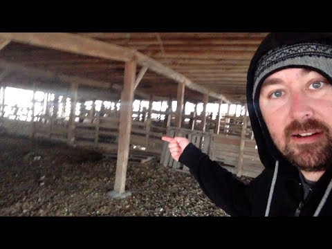 TheDailyWoo - 518 (12/1/13) Sketchy Empty Animal Stable