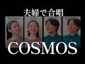 【夫婦で四部合唱】COSMOS|中高生に歌い継がれる合唱曲 cover