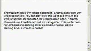 Snowball automatic translation memory