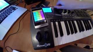 Loop Pads 24 - Record Update v.1.1 screenshot 2