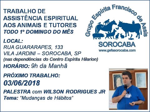 Assista: Palestra presencial - c/ WILSON RODRIGUES JR. (03/06/2018)