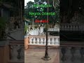 VALENCIA, NEGROS ORIENTAL.Vlog#36#valencia#short#negros oriental#delsart tv