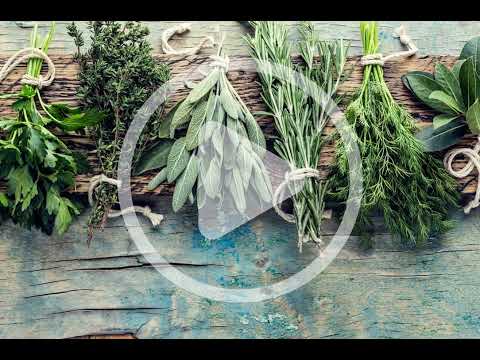 Herbs for Every Season