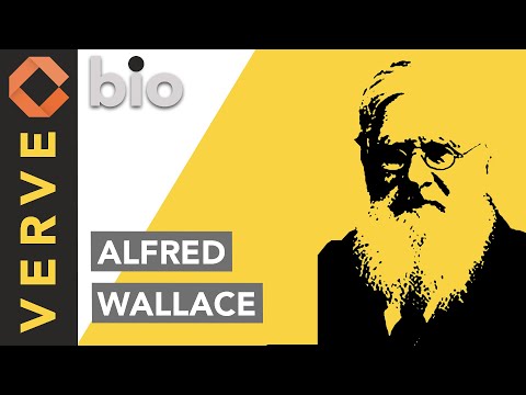 Alfred Russel Wallace, Pai da Bio-geografia e co-autor da Teoria da Evolução