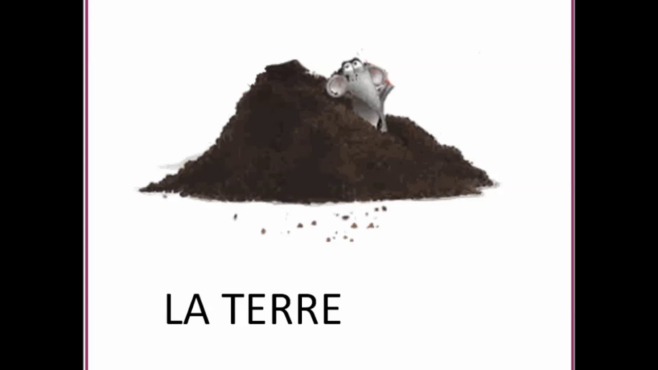 vocabulaire splat adore Jardiner pour les PS - YouTube