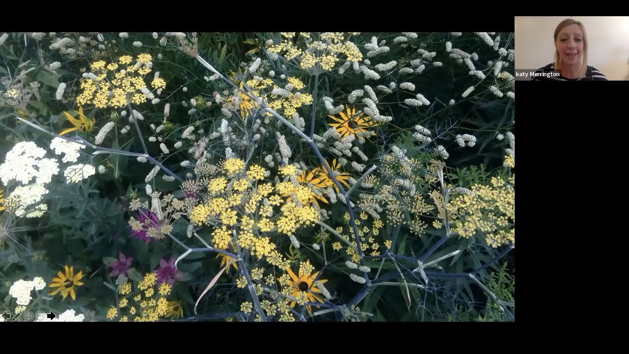 Katy Merrington's Desert Island Gardens