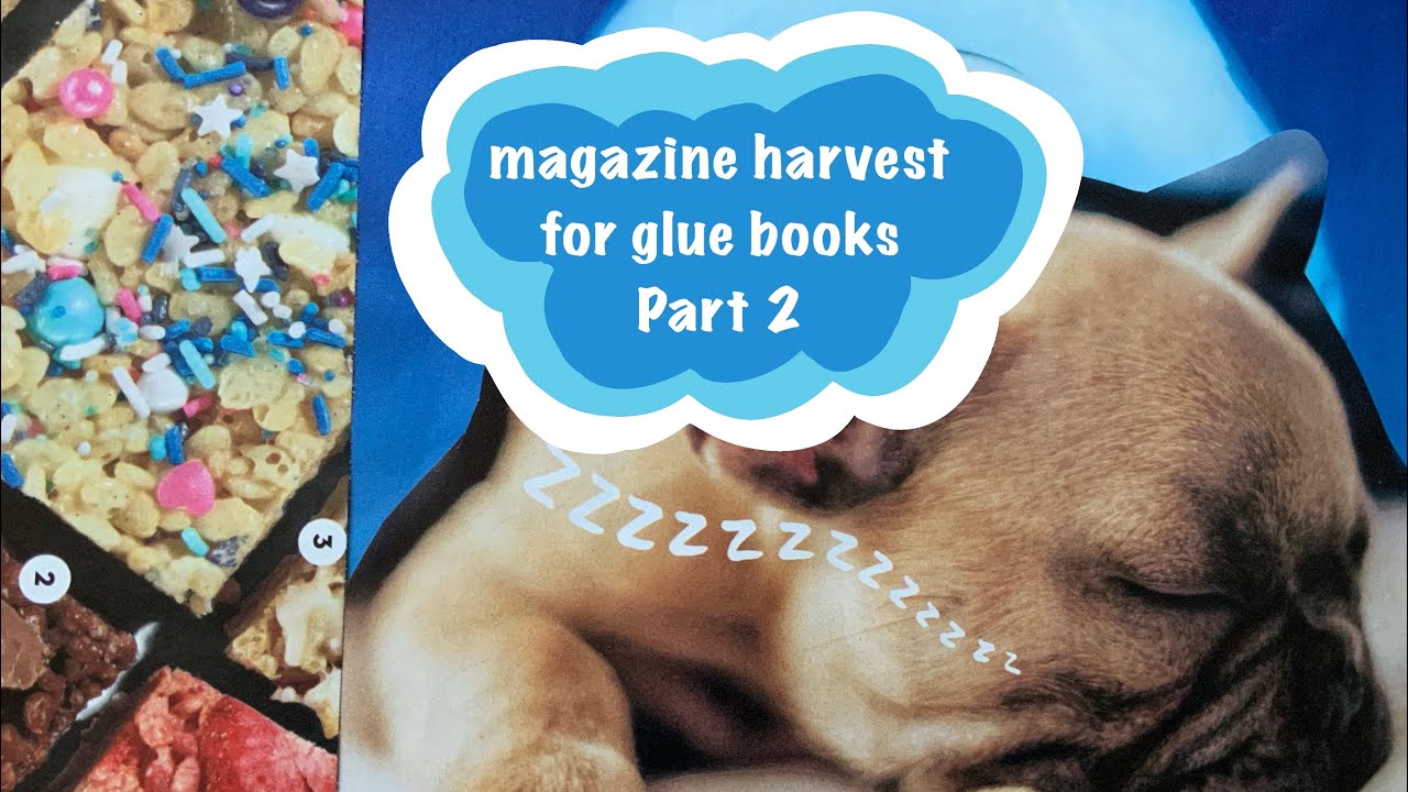flippin’ and rippin’ magazine harvest for glue books Part 2  - searching for images! 