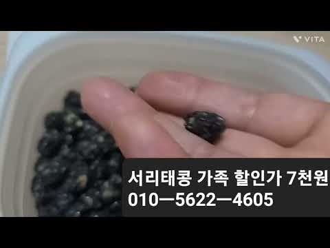시골농가 <strong>서리태콩</strong> 1kg 7천원 쥐눈이콩 1kg 1만원 더많이 농사지어 직거래 단가 내리겠다는 우리들의 아들 자랑스럽습니다