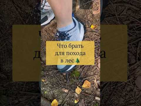 Как собраться в лес🌲Топ из 3х вещей #природа #лес #поход #походвлес #nature #forest