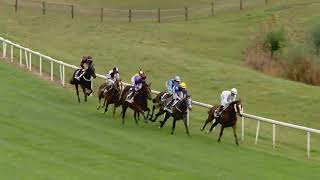 Vidéo de la course PMU PRIX DE FEHRALTORF