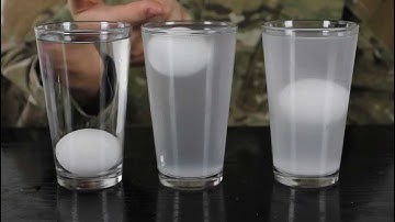 Float an Egg in the Middle of Salt Water - Water Density Science Experiment