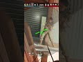 U cant hide buddy #gaming #r6siege