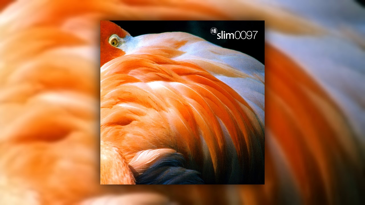 Slim — Slim - 0097 (Full Album) [1997] (Music Video) | Dork