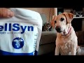 Dog Hip and Joint Supplement Product Review | VetWELL Supplements for Dogs