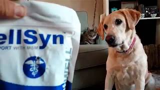 Dog Hip and Joint Supplement Product Review | VetWELL Supplements for Dogs screenshot 1