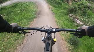 Deuchny wood mtb park perth