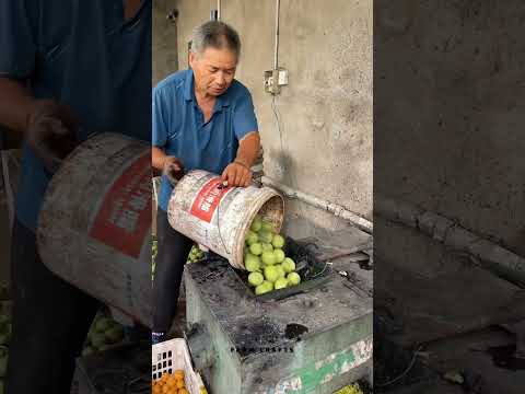 تجعل آلة تقشير الفاكهة هذه المهمة أسهل آلات يدوية تقليدية لتقشير الفاكهة