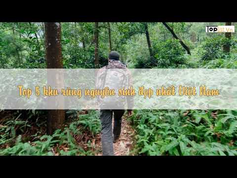 Bài 6: Đất và rừng