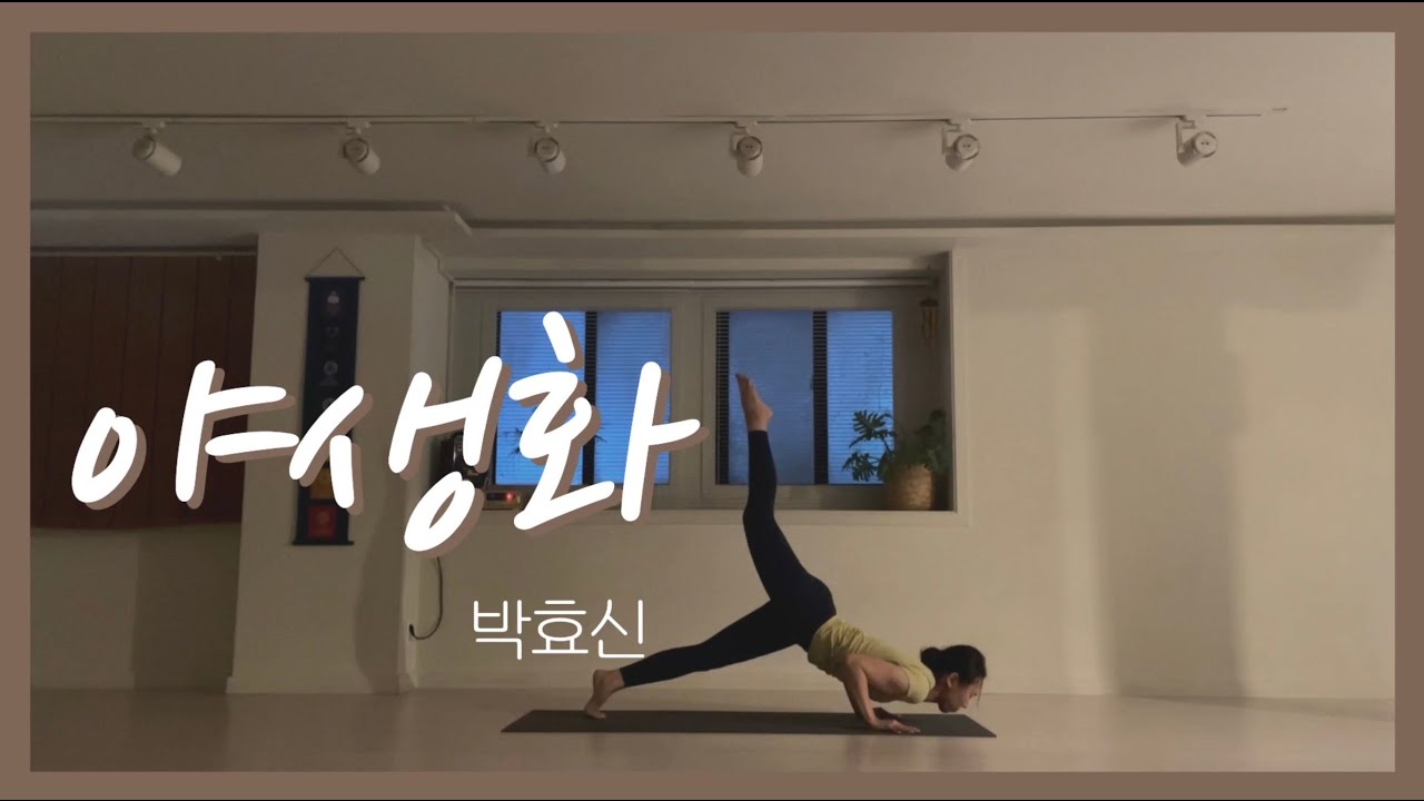 [인사이드플로우] 다이어트 요가│박효신 야생화