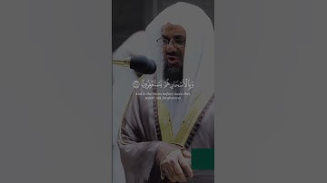 إن المتقين في جنات و عيون #القرآن الكريم #quran #سعود الشريم #راحة نفسية #تلاوات #آيات #تجويد