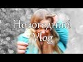 Новогодний VLOG 2020