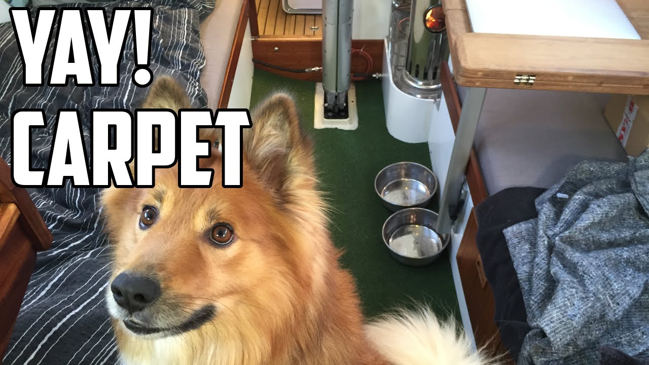 Sail Life – Sailboat update #9 – Carpet, the storm named Egon and my upcoming trip to the US