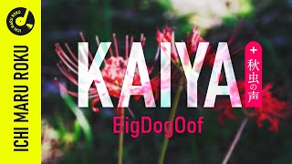 作業用Bgm 舐達麻 X Green Assassin Dollar Type Beat Kaiya - Bigdogoof日本の田舎風景 Cinematic