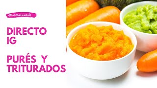 Directo Alimentación Complementaria: Purés y Triturados.