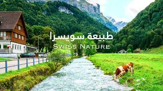 أجمل القرى في سويسرا 🇨🇭 طبيعة ستجعلك تتمنى العيش هنا | أصوات الطبيعة