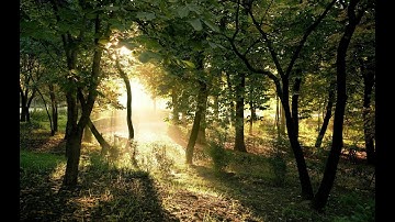 مقطع من سورة الحج تلاوة جميلة جدا للشيخ رائد الشعلان