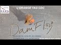 Montage dune mouche sche en cdc orange tag