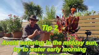 7 simple watering tips for hot weather #drought #water #watering #wateringplants #dry #weather #hot