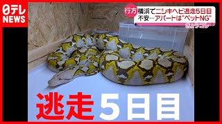 今日も捜索続く  飼い主「大事にしていたペット」（2021年5月10日放送「news every.」より）