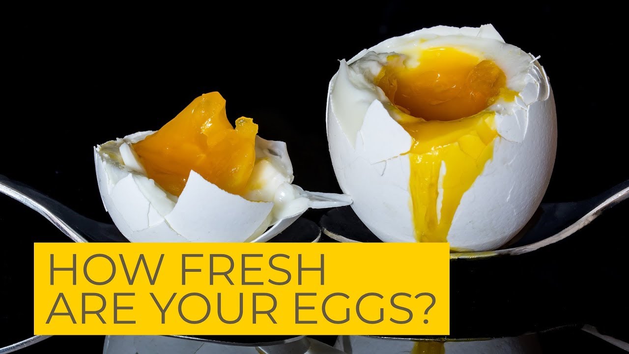 Are your eggs fresh? - YouTube