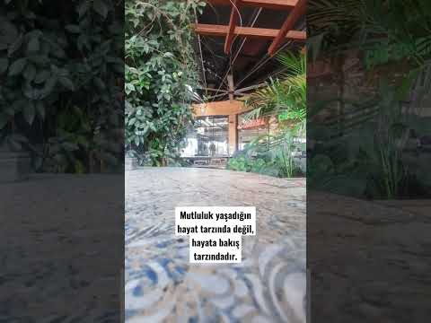 Yasa Dinlenme Tesisleri