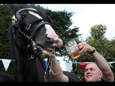 Toby Keith Ft Willie Nelson ,,,Beer For My Horses - YouTube