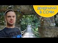 Дендрарий в Сочи. Верхний и нижний дендрарий. Канатная дорога.