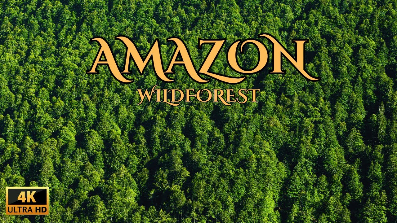 Amazon 4K - The World’s Largest Tropical Rainforest Adventure and ...