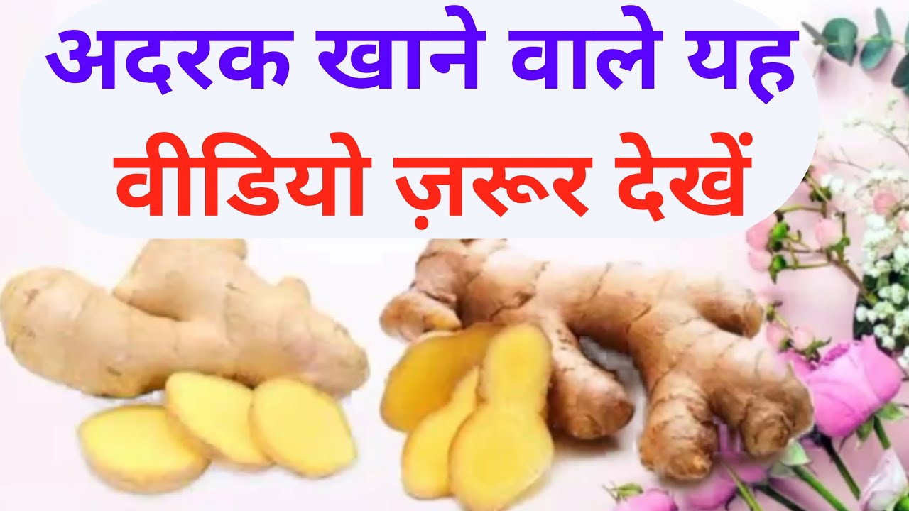 अदरक खाने वाले यह वीडियो ज़रूर देखें Ginger Benefits in Hindi 2023