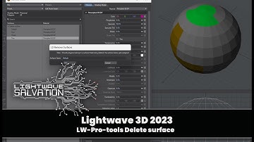 Lightwave 3D Pro-Tools Delete Surface