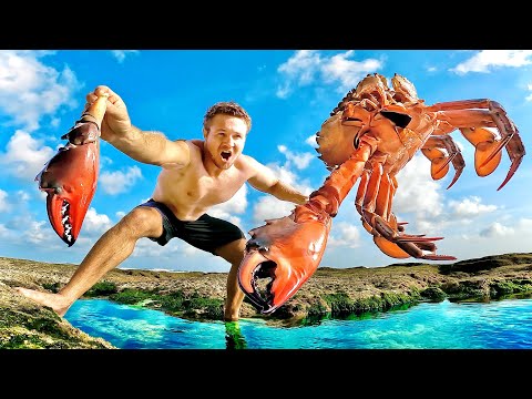 SOLO SURVIVAL - GIANT SALTWATER MUD CRABS! Catch Clean & Cook YUM!