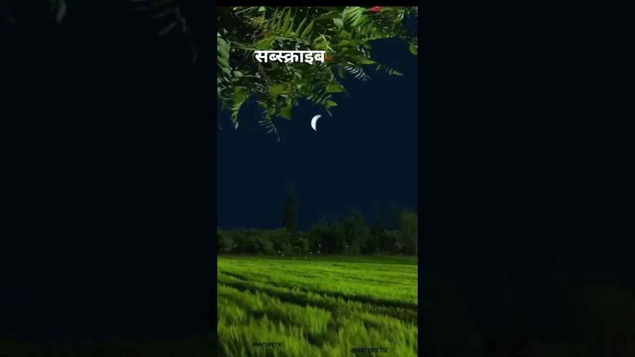 The Last Great Heist 