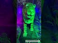 Mela Lalbagh Palace 😱| Viral | Indore 🔥 #indore #vlog #reels #shorts #shortvideo #viral #trending