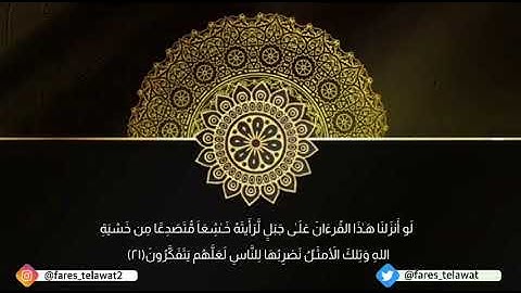 أواخر سورة الحشر | القارئ رعد الكردي