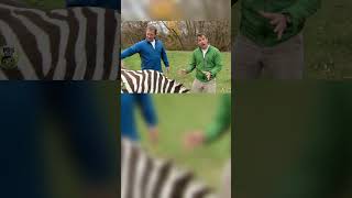 What If? Wild Kratts Zig-Zagged Episode